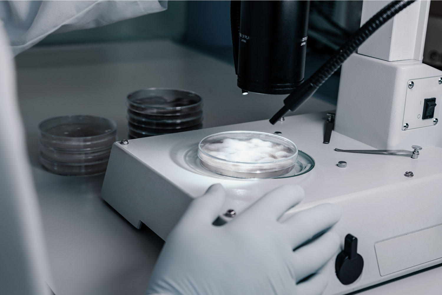 Pathology Paraffin